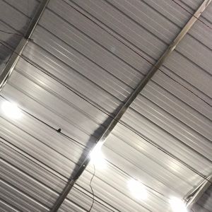 Meet your Posher, Arliss